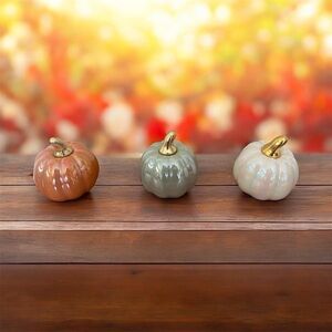 Iridescent Ceramic Pumpkins- White, Blue & Orange withGold Stems